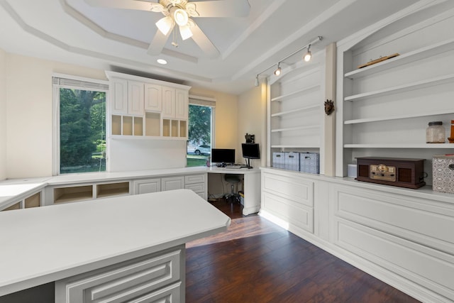 2308 Fleetwood Ct, Naperville, IL 60565 - office space featuring built in study area, plenty of natural light, a tray ceiling, and dark wood finished floors