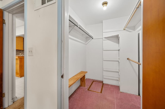 115 Fair St, Sycamore, IL 60178 - spacious closet with carpet floors