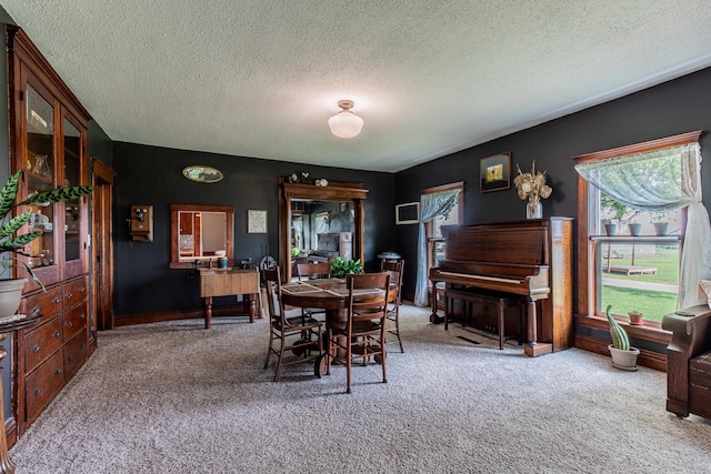 4116 E 13th Rd, Earlville, IL 60518 - dining room with carpet flooring and a textured ceiling