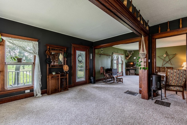 4116 E 13th Rd, Earlville, IL 60518 - carpeted living area with plenty of natural light, a textured ceiling, and a wood stove