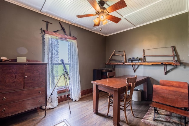 4116 E 13th Rd, Earlville, IL 60518 - office space with wood finished floors and ceiling fan