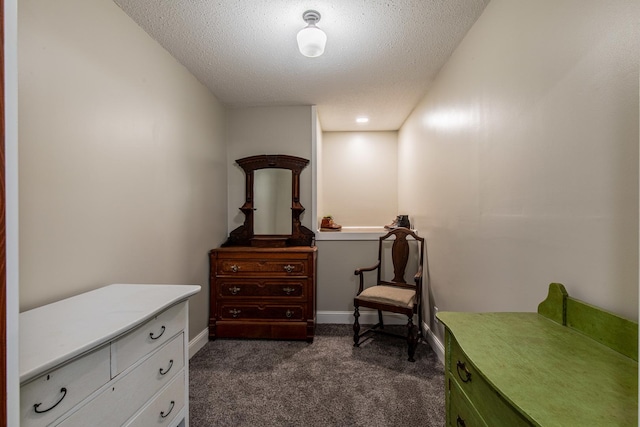 4116 E 13th Rd, Earlville, IL 60518 - living area with dark colored carpet and a textured ceiling