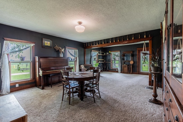 4116 E 13th Rd, Earlville, IL 60518 - carpeted dining space with a textured ceiling
