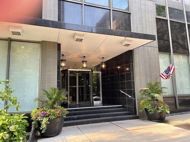 253 E Delaware Pl Unit 8F, Chicago, IL 60611 - property entrance with covered porch