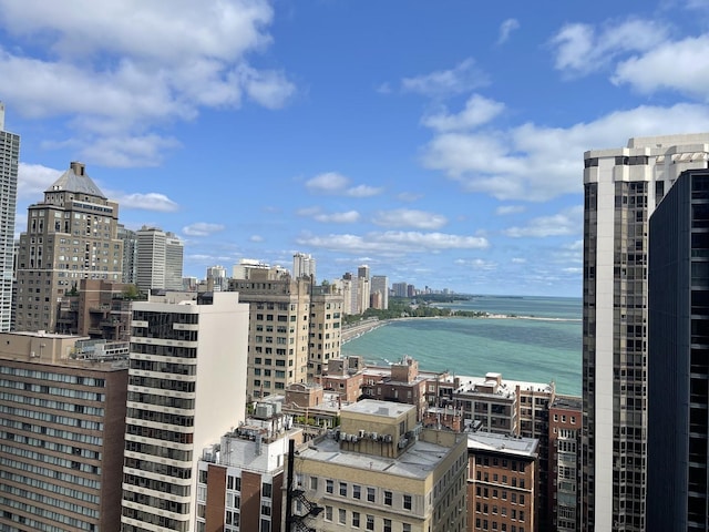 253 E Delaware Pl Unit 8F, Chicago, IL 60611 - view of city with a nearby body of water