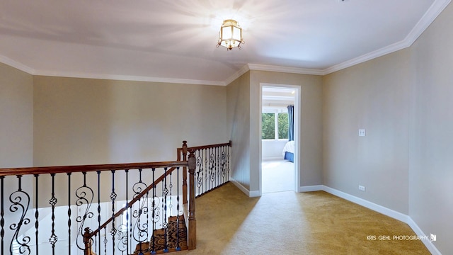 2520 Hanford Ln, Aurora, IL 60502 - hallway with carpet, ornamental molding, and an upstairs landing