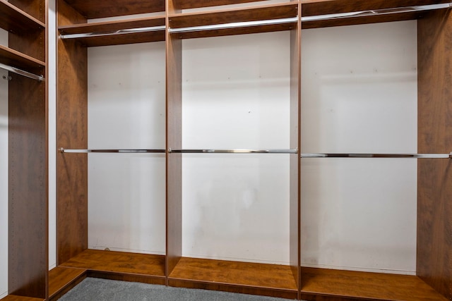 1000 Village Center Dr Unit 103, Burr Ridge, IL 60527 - view of walk in closet