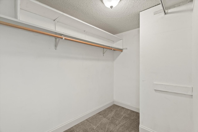 920 Vose Dr Unit 612, Gurnee, IL 60031 - walk in closet featuring carpet
