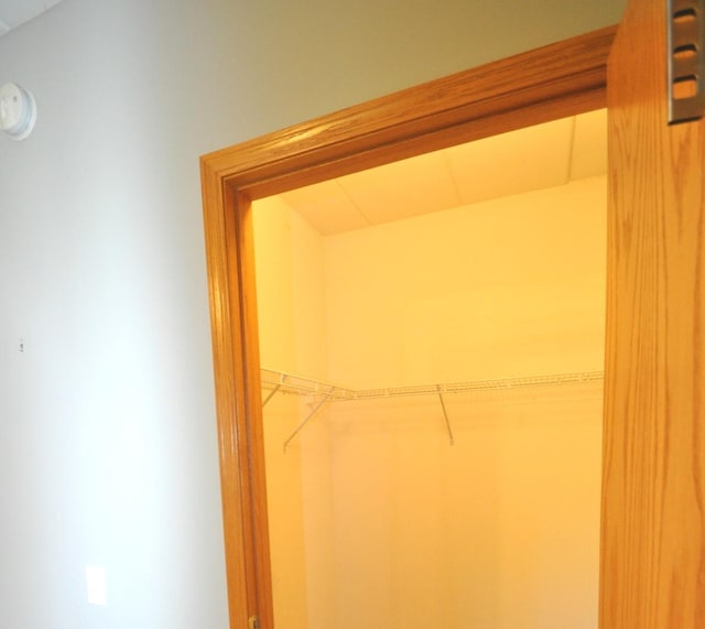 11535 Settlers Pond Way Unit 1C, Orland Park, IL 60467 - view of walk in closet