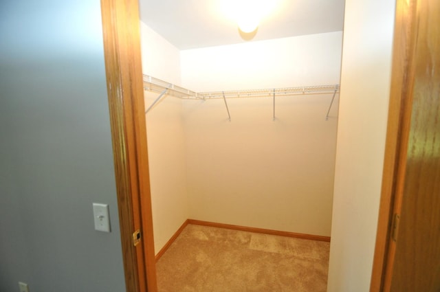11535 Settlers Pond Way Unit 1C, Orland Park, IL 60467 - walk in closet featuring light colored carpet