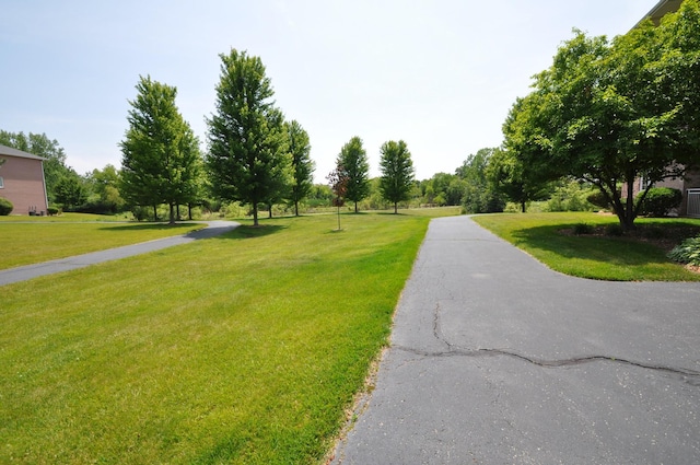 11535 Settlers Pond Way Unit 1C, Orland Park, IL 60467 - surrounding community featuring a yard