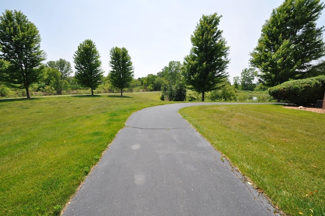 11535 Settlers Pond Way Unit 1C, Orland Park, IL 60467 - view of road