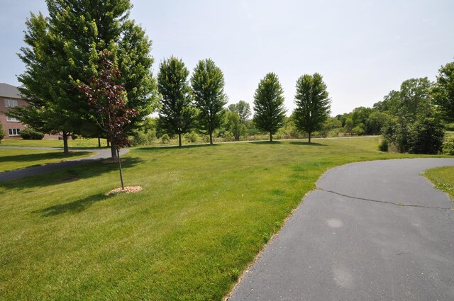 11535 Settlers Pond Way Unit 1C, Orland Park, IL 60467 - view of home's community with a yard