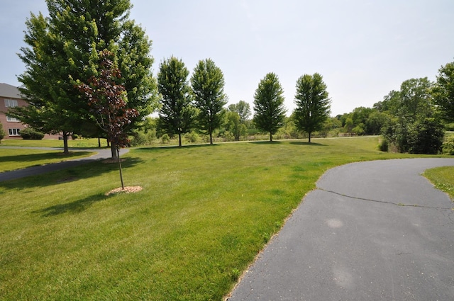 11535 Settlers Pond Way Unit 1C, Orland Park, IL 60467 - view of home's community with a yard