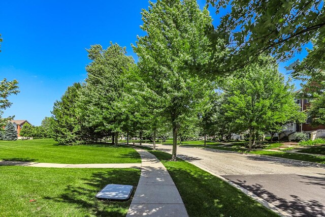 4213 Drexel Ave, Aurora, IL 60504 - photo 25