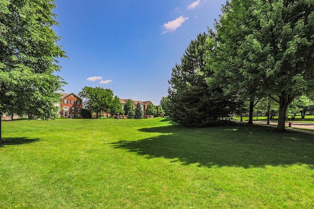 4213 Drexel Ave, Aurora, IL 60504 - photo 26