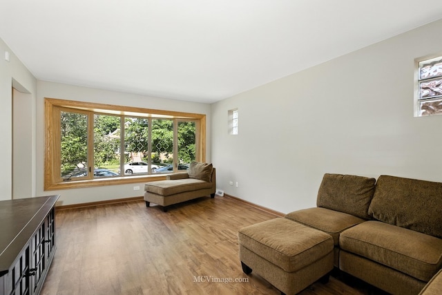 3219 N Pioneer Ave, Chicago, IL 60634 - living room featuring plenty of natural light and light wood finished floors