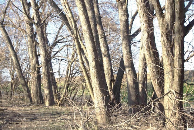 110 E County Rd 150, Warsaw, IL 62379 - view of nature