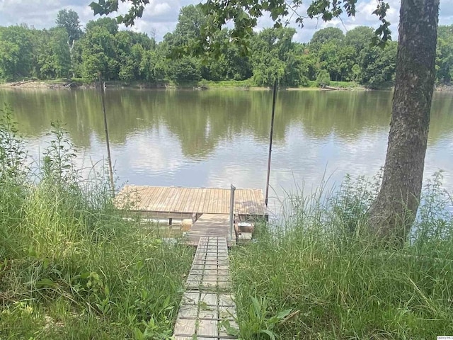 110 E County Rd 150, Warsaw, IL 62379 - dock area featuring a water view and a view of trees