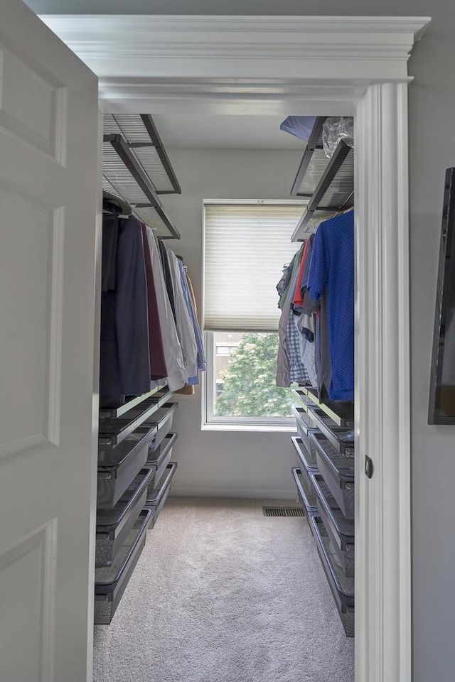 1501 W Diversey Pkwy Unit B, Chicago, IL 60614 - walk in closet featuring carpet flooring