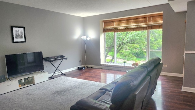 875 E 22nd St Unit 204, Lombard, IL 60148 - living area featuring baseboards and wood finished floors