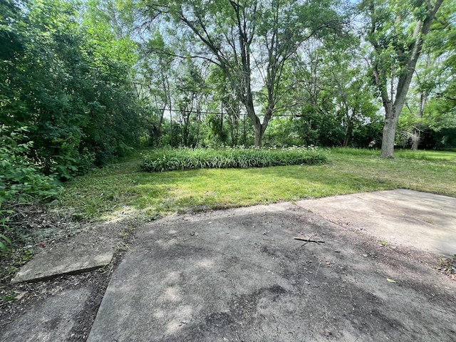 327 Somonauk St, Park Forest, IL 60466 - view of green lawn with a patio