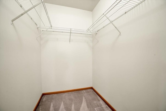 1801 Great Falls Dr, Plainfield, IL 60586 - walk in closet with carpet floors