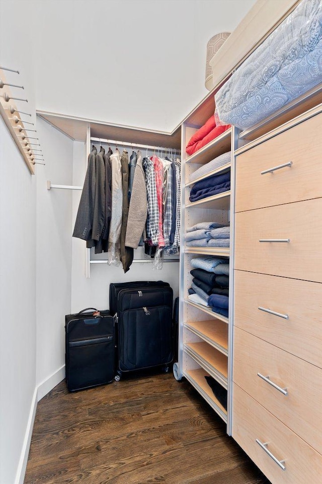 2411 W Walton St Unit 2B, Chicago, IL 60622 - walk in closet featuring dark wood-style flooring