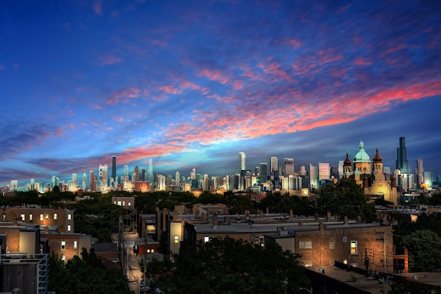 2411 W Walton St Unit 2B, Chicago, IL 60622 - view of city skyline