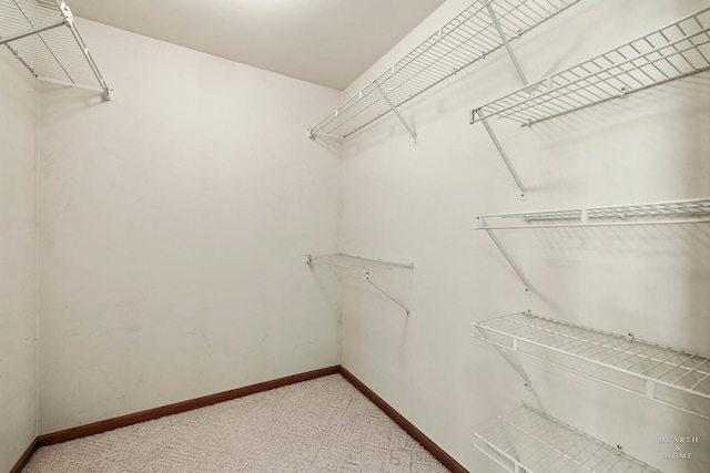 314 Spring Creek Cir, Schaumburg, IL 60173 - walk in closet with light colored carpet