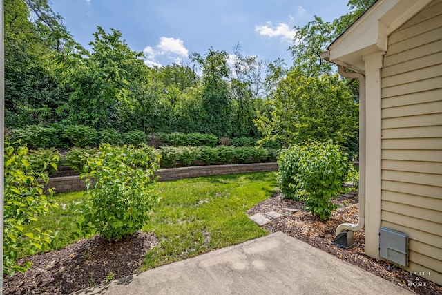 314 Spring Creek Cir, Schaumburg, IL 60173 - view of yard featuring a patio area