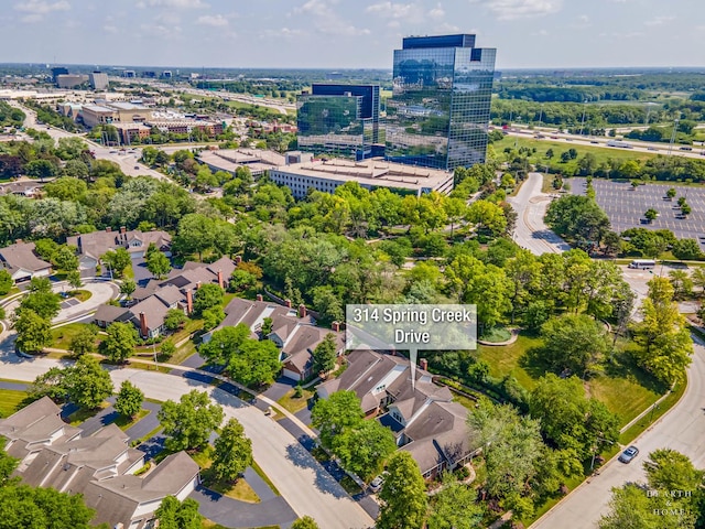 314 Spring Creek Cir, Schaumburg, IL 60173 - aerial view of a tree filled landscape