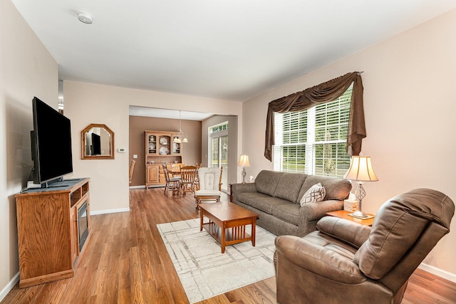 4115 Dalewood Dr, Plainfield, IL 60586 - living room with light wood finished floors and baseboards