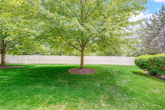 8033 Nielsen Dr, Tinley Park, IL 60477 - view of yard
