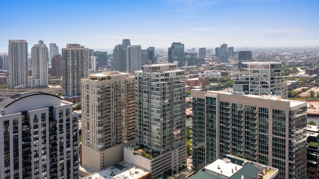 653 N Kingsbury St Unit 1707, Chicago, IL 60654 - view of city skyline