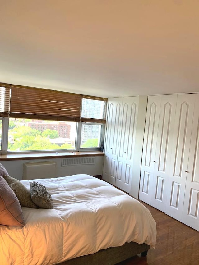 4250 N Marine Dr Unit 1404, Chicago, IL 60613 - bedroom featuring multiple closets, an AC wall unit, and wood finished floors