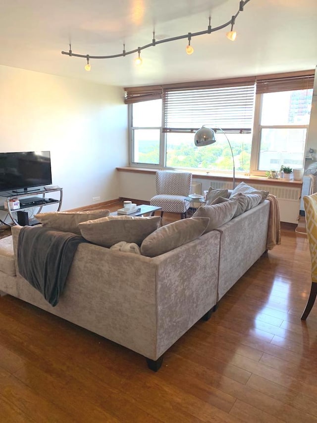 4250 N Marine Dr Unit 1404, Chicago, IL 60613 - living area featuring dark wood-style flooring and rail lighting