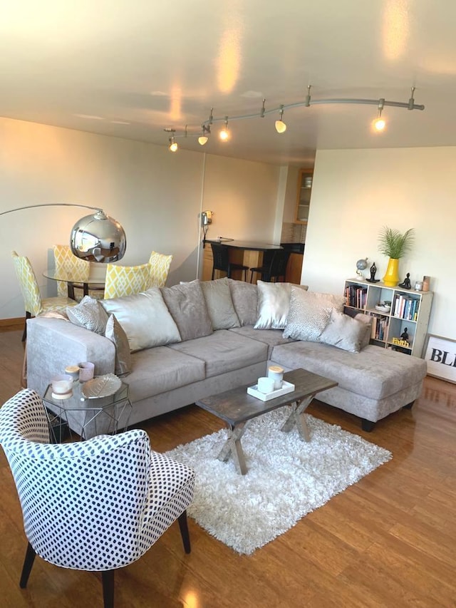 4250 N Marine Dr Unit 1404, Chicago, IL 60613 - living room featuring wood finished floors