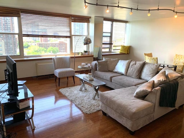 4250 N Marine Dr Unit 1404, Chicago, IL 60613 - living room featuring wood finished floors and track lighting