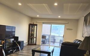 1915 Whitechapel Dr Unit 1A, Mount Prospect, IL 60056 - living area featuring recessed lighting and wood finished floors