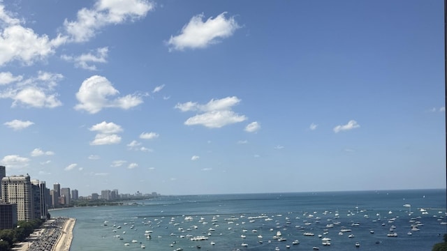 505 N Lake Shore Dr Unit 2017, Chicago, IL 60611 - water view featuring skyline