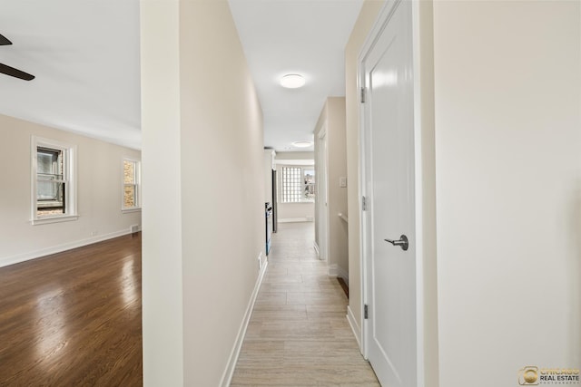 8207 S Laflin St, Chicago, IL 60620 - corridor with wood finished floors and baseboards