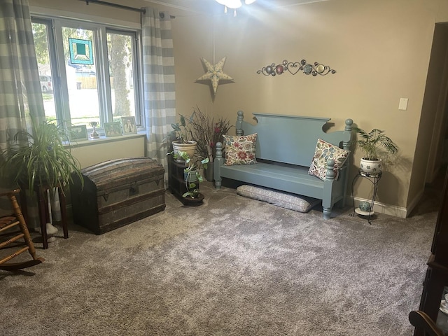 206 E Sycamore St, Normal, IL 61761 - photo 11