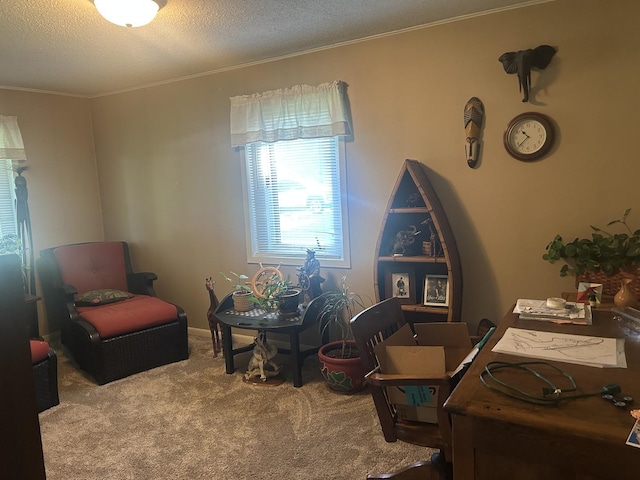 206 E Sycamore St, Normal, IL 61761 - photo 12