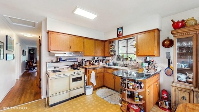 9120 26th Pl, Brookfield, IL 60513 - kitchen with double oven range, ventilation hood, open shelves, brown cabinets, and light flooring