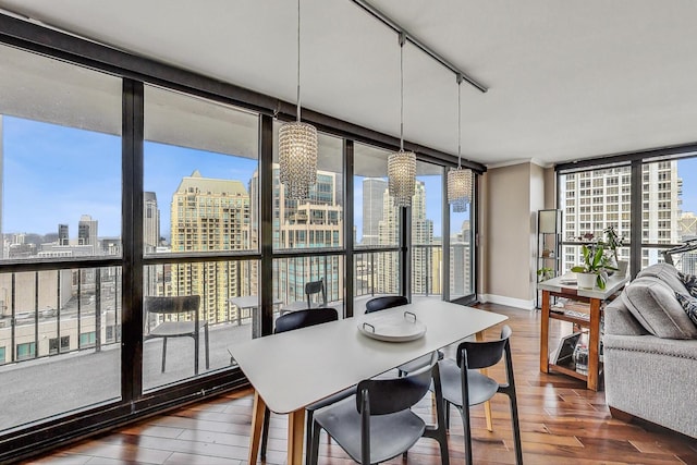 10 E Ontario St Unit 4808, Chicago, IL 60611 - dining area featuring a skyline view, floor to ceiling windows, dark wood-type flooring, and rail lighting