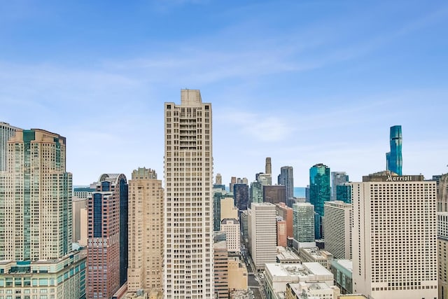 10 E Ontario St Unit 4808, Chicago, IL 60611 - view of city skyline