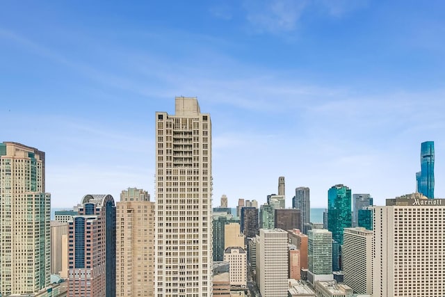 10 E Ontario St Unit 4808, Chicago, IL 60611 - skyline view