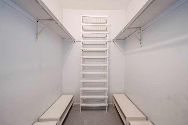 371 Southbury Ct Unit B2, Schaumburg, IL 60193 - walk in closet with carpet