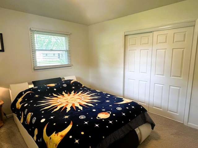 1517 Juniper Ln, Machesney Park, IL 61115 - bedroom with carpet floors and a closet